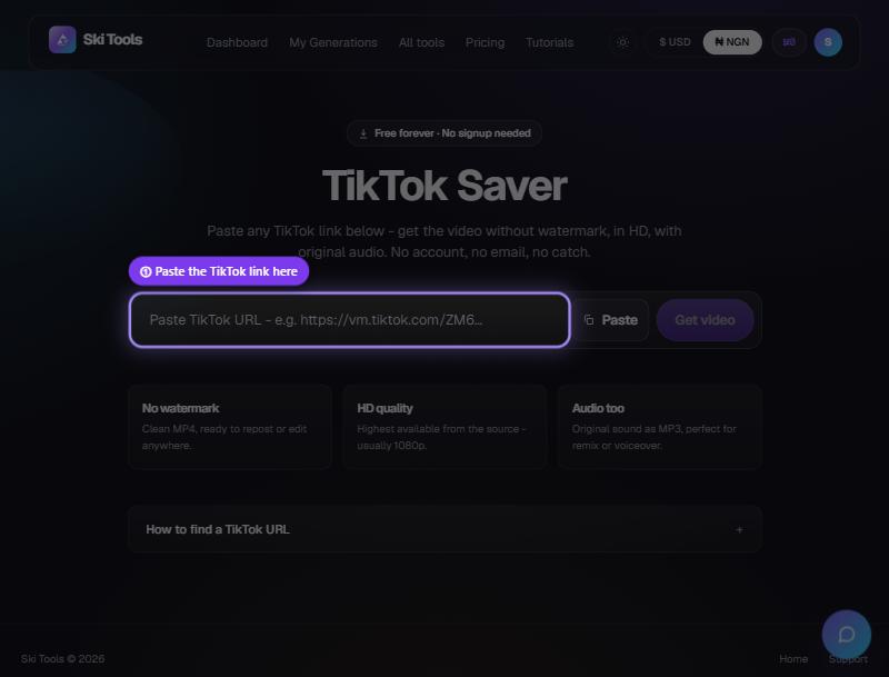 TikTok Saver step 3: Paste it